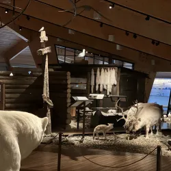 Svalbard Museum - Longyearbyen