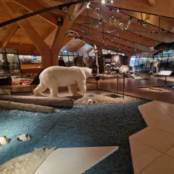 Svalbard Museum - Longyearbyen