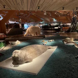 Svalbard Museum - Longyearbyen
