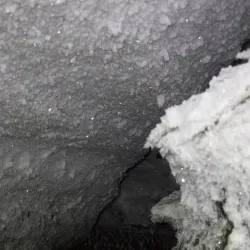 Svalbard Reindeer Viewing - Longyearbyen