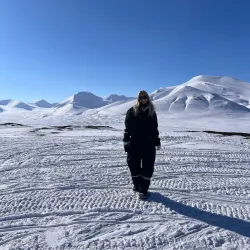 Svalbard Reindeer Viewing - Longyearbyen