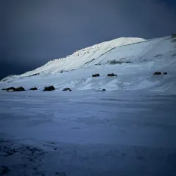 Svalbard Reindeer Viewing - Longyearbyen