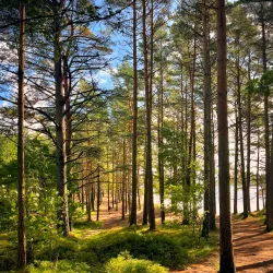 Furulunden Park - Mandal