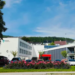 Molde Rose Garden (Rosenes By) - Molde