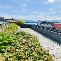 Molde Rose Garden (Rosenes By) - Molde