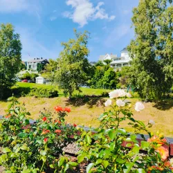 Molde Rose Garden (Rosenes By) - Molde