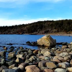 Jeløy Island - Moss