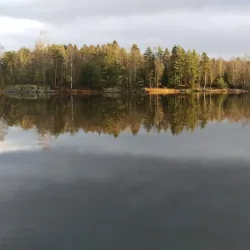 Krapfoss Waterfall - Moss