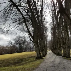 Hafslund Manor - Mysen