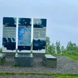 Fagernesfjellet Viewpoint - Narvik