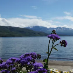 Fagernesfjellet Viewpoint - Narvik