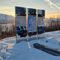 Fagernesfjellet Viewpoint - Narvik