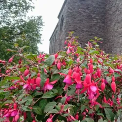 Narvik Church - Narvik