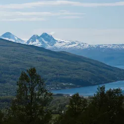 Ofotfjord - Narvik