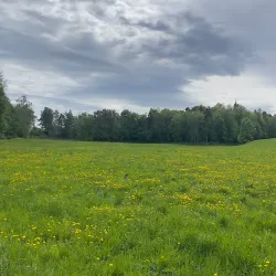 Bygdøy Peninsula - Oslo