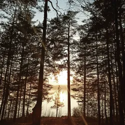 Bygdøy Peninsula - Oslo