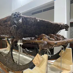 Viking Ship Museum - Oslo