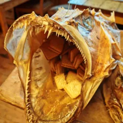 Lofoten Stockfish Museum - Reine