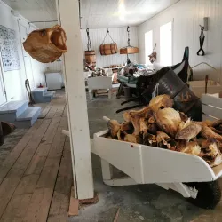 Lofoten Stockfish Museum - Reine