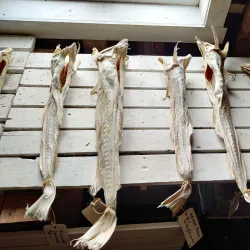 Lofoten Stockfish Museum - Reine