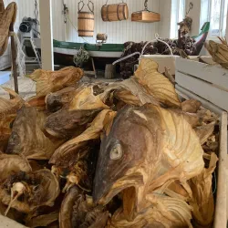 Lofoten Stockfish Museum - Reine