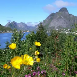 Reine Church - Reine