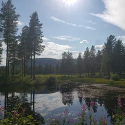 Rena Golf Course - Rena