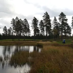 Rena Golf Course - Rena