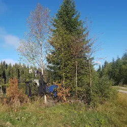 Rena River Trail - Rena