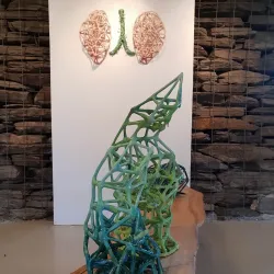 Østerdalen Museum - Rena