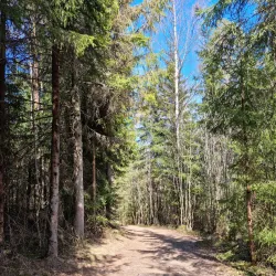 Nordbytjernet Lake - Ås