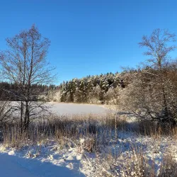 Nordbytjernet Lake - Ås