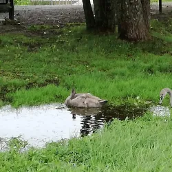Nordbytjernet Lake - Ås