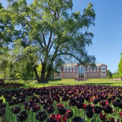 Norwegian University of Life Sciences (NMBU) - Ås