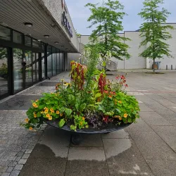 Ås Cultural Center - Ås