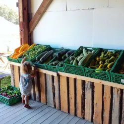 Ås Farmers Market - Ås