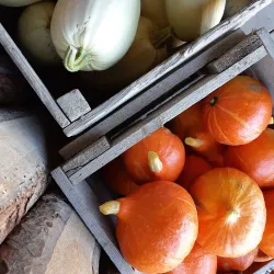 Ås Farmers Market - Ås