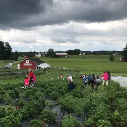 Ås Farmers Market - Ås
