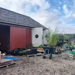 Ås Farmers Market - Ås