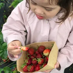 Ås Farmers Market - Ås