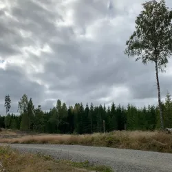 Ås Forest Trails - Ås