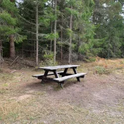 Ås Forest Trails - Ås