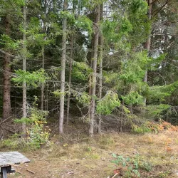 Ås Forest Trails - Ås