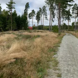 Ås Forest Trails - Ås