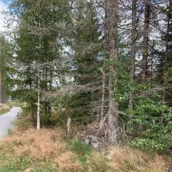 Ås Forest Trails - Ås