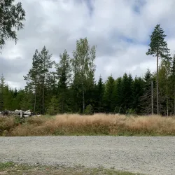 Ås Forest Trails - Ås