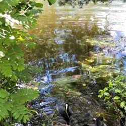 Bugårdsparken - Sandefjord