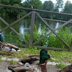 Bugårdsparken - Sandefjord