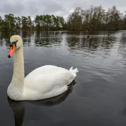 Bugårdsparken - Sandefjord