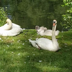 Bugårdsparken - Sandefjord
